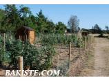 Vente / location de jardin potager 